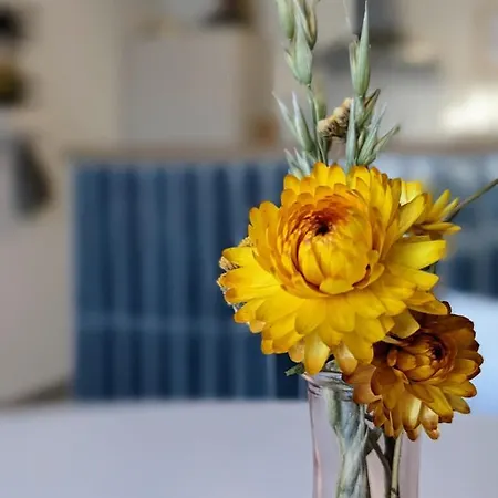 Apartament Boho-style In - Zentral & *