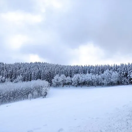 Boho-style In - Zentral & Apartament Winterberg