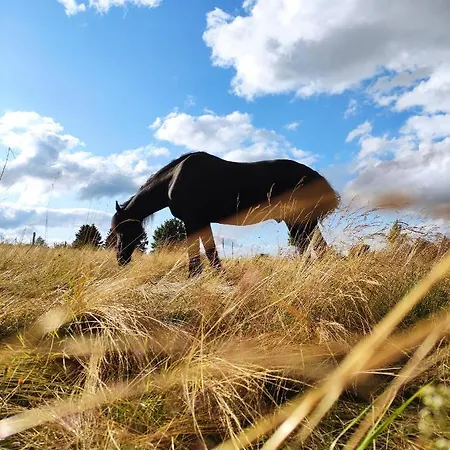 Апартаменты Boho-style In - Zentral & Винтерберг