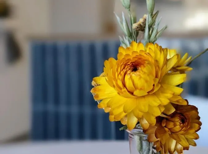 Apartament Boho-style In - Zentral & *