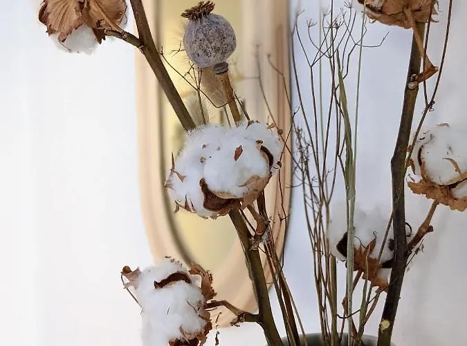 Boho-style In - Zentral & Apartament