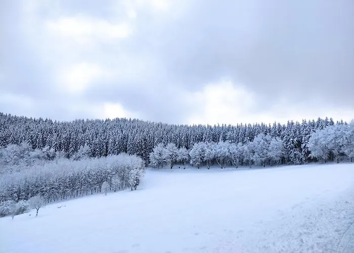 Boho-style In - Zentral & Appartement Winterberg