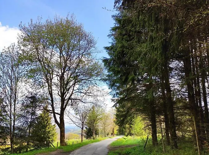 Boho-style In - Zentral & *