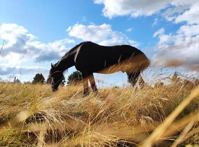 Apartament Boho-style In - Zentral & Winterberg